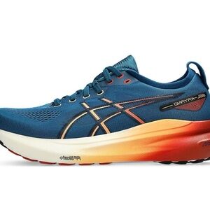 Asics gel kayano 31